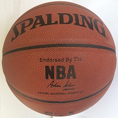 Spalding NBA Game Ball Series (Indoor-Outdoor)