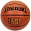 Spalding NBA Gold Series Indoor/Outdoor